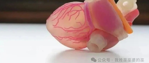 3D Printed Organs: A Revolutionary Breakthrough in Transplant Medicine