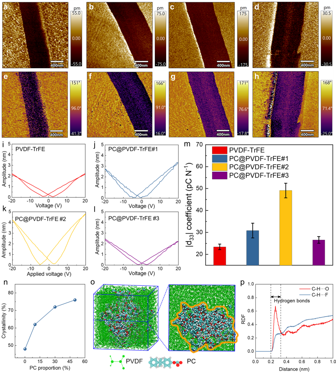 Professor Huang Xingyi from Shanghai Jiao Tong University: All-Organic Piezoelectric Nanofibers for Power Equipment Detection and Energy Harvesting