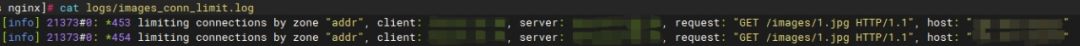 Limiting HTTP Request Connection Count with nginx