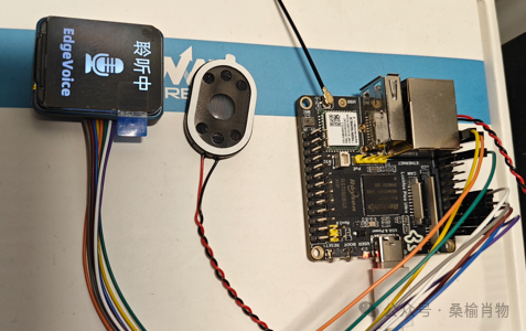 Integrating OpenAI Real-Time Voice Chat with Linux Development Boards