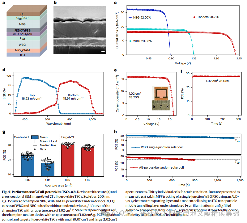 Optimizing Wide Bandgap Perovskite Crystallization with Novel Additives to Enhance Component Performance