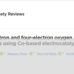 Recent Advances in Selective Two-Electron and Four-Electron Oxygen Reduction Reactions Based on Cobalt-Based Electrocatalysts by Professor Cao Rui's Team at Shaanxi Normal University