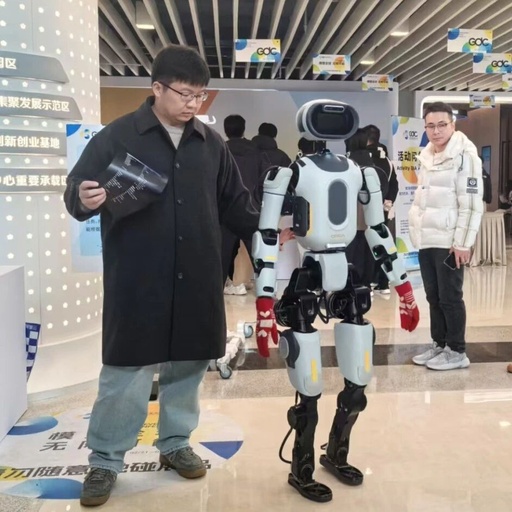 Can We Expect Elderly Care Robots? This Forum Focuses on Embodied Intelligence