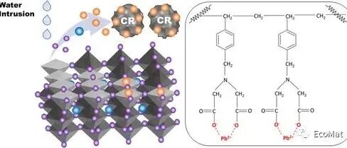 Fatigue-Free and Skin-like Supramolecular Ion-Conductive Elastomeric Interphases for Stable Lithium Metal Batteries