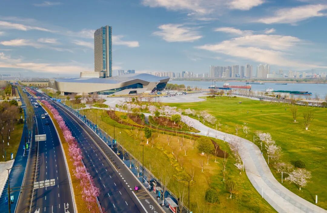 The 'C Language' of Jiangbei: Innovation, Entrepreneurship, and Creation