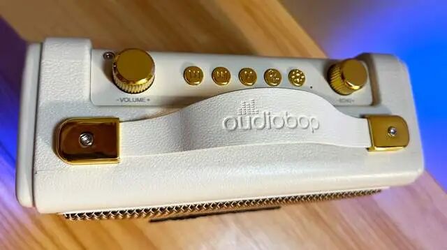 Oudiobop TG1 Bluetooth Speaker: Standard Wireless Microphone with Karaoke Function and Colorful Lighting Effects