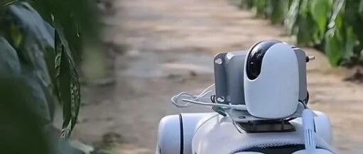 Frontiers of Smart Agriculture Technology: Sensor Technology in the Internet of Things