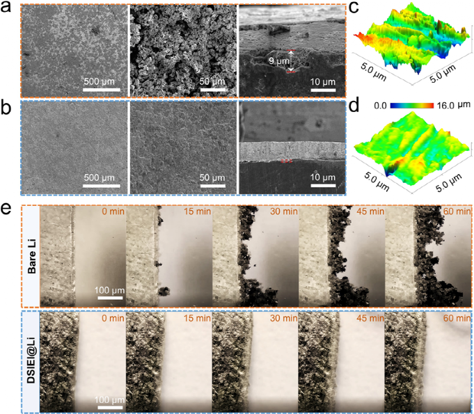 Fatigue-Free and Skin-like Supramolecular Ion-Conductive Elastomeric Interphases for Stable Lithium Metal Batteries