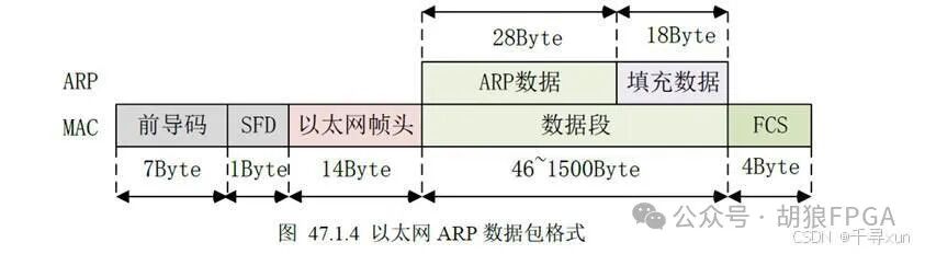 The Role and Message Format of ARP in TCP/IP