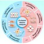 Selective Two-Electron and Four-Electron Oxygen Reduction Reactions Using Co-Based Electrocatalysts