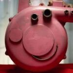 What is Peppa? Let's Show You with Python!