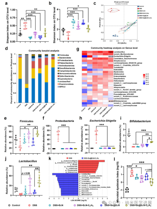 Triple-Functional Probiotics with Intracellularly Synthesized Selenium Nanoparticles for Colitis Therapy by Regulating the Macrophage Phenotype and Modulating Gut Microbiota