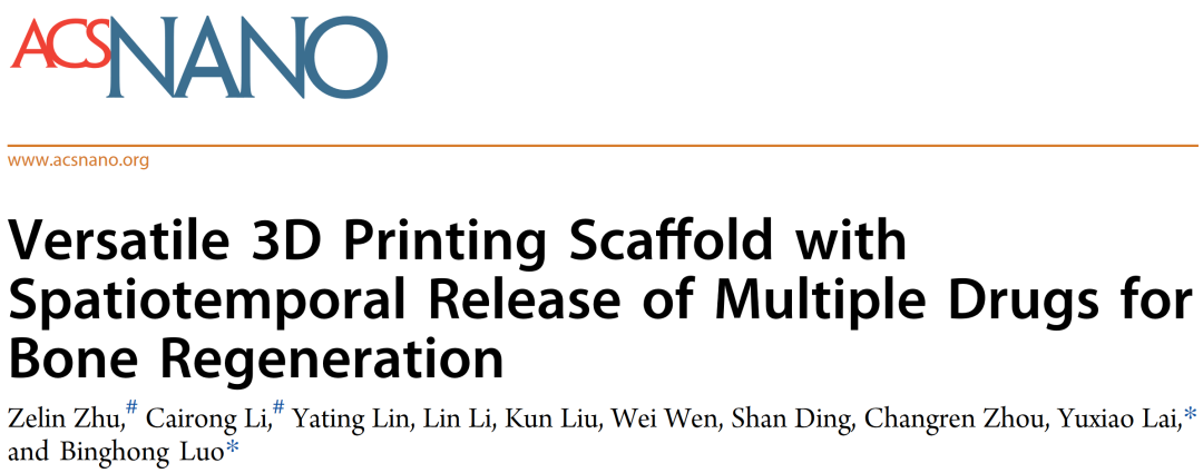 Professor Luo Binghong's Team from Jinan University Publishes in ACS Nano: Multifunctional 3D Printed Scaffolds with Spatiotemporal Drug Release Functions for Bone Regeneration