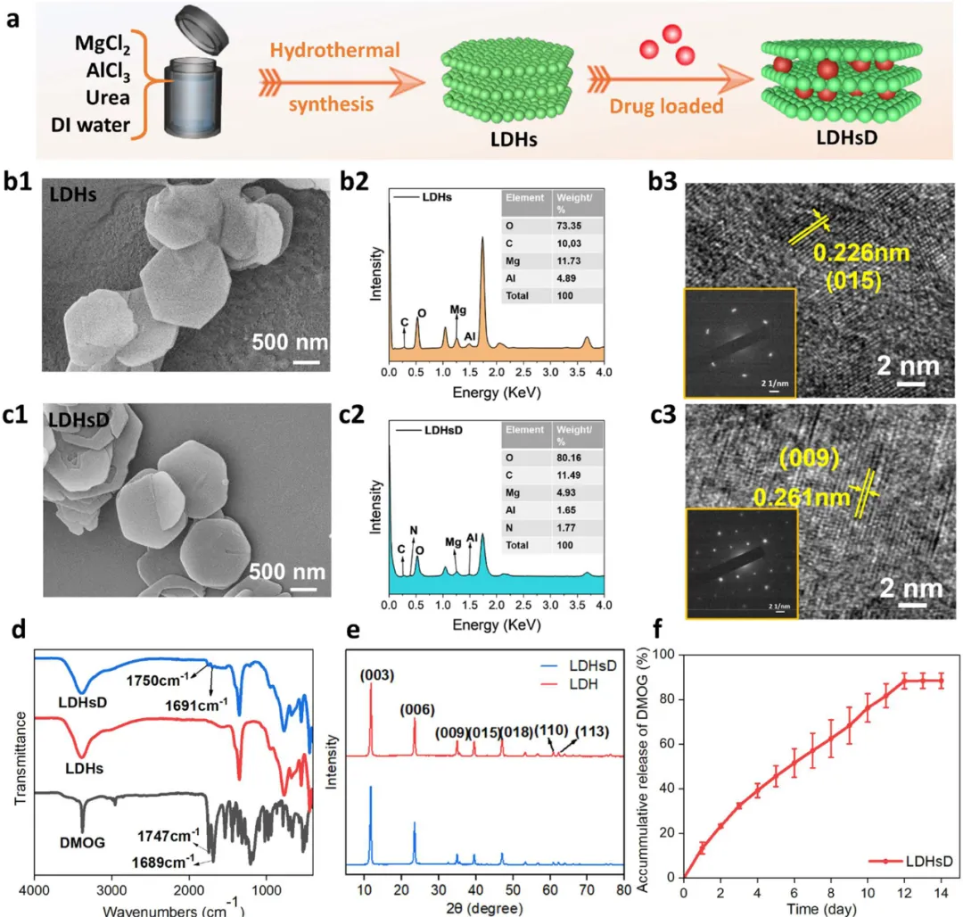 Professor Luo Binghong's Team from Jinan University Publishes in ACS Nano: Multifunctional 3D Printed Scaffolds with Spatiotemporal Drug Release Functions for Bone Regeneration