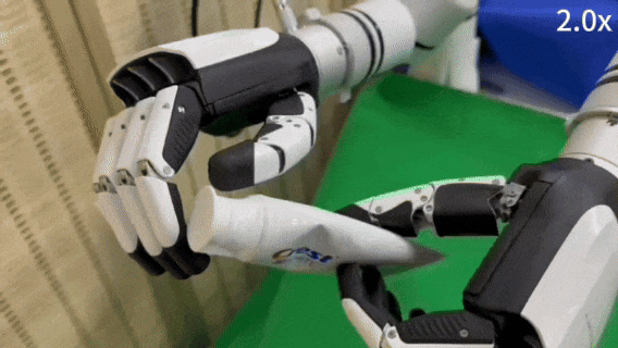 Can Robots Squeeze Toothpaste? ManipTrans: Efficient Transfer of Human Hand Skills to Dexterous Hands