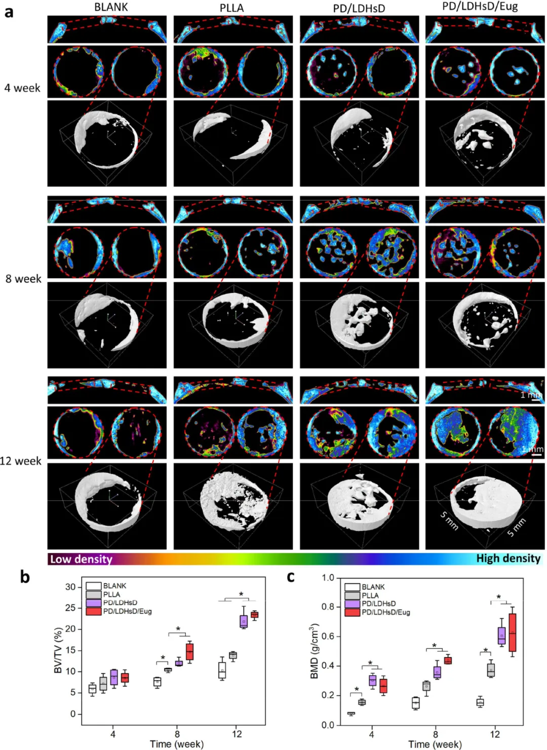 Professor Luo Binghong's Team from Jinan University Publishes in ACS Nano: Multifunctional 3D Printed Scaffolds with Spatiotemporal Drug Release Functions for Bone Regeneration