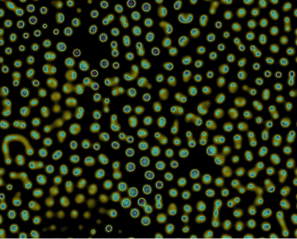 How to Draw Various Famous Mathematical Patterns with Python | Includes Images and Code