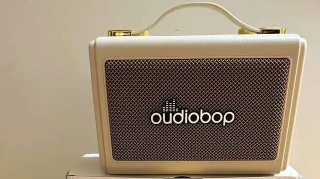 Oudiobop TG1 Bluetooth Speaker: Standard Wireless Microphone with Karaoke Function and Colorful Lighting Effects
