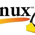 Embedded Linux Career Paths, Salaries, and Required Skills