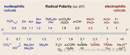 Comprehensive Overview of the Polarity of Free Radical Types