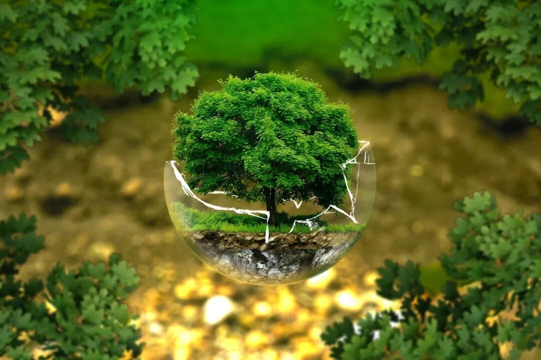 Understanding Carbon Neutrality and Its Implications for Climate Change