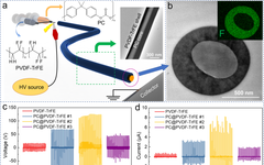 Professor Huang Xingyi from Shanghai Jiao Tong University: All-Organic Piezoelectric Nanofibers for Power Equipment Detection and Energy Harvesting