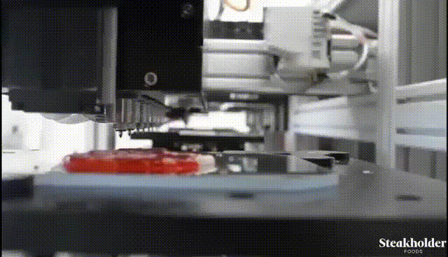 3D Printed Meat: Adjustable Fat-to-Lean Ratio with Wagyu Beef Marbling