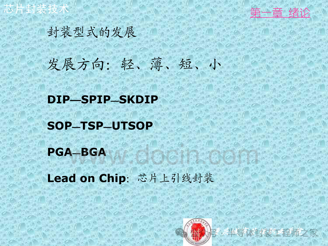 Integrated Circuit Chip Packaging Technology