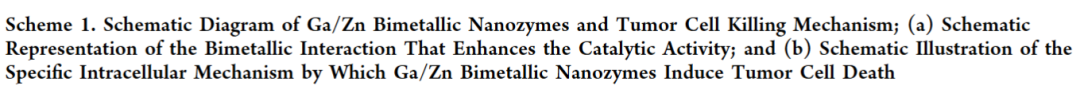 Synergizing Catalysis with Post-catalysis Pseudo-Iron Release by Building Dynamic Catalytic Active Sites in Diatomic Nanozymes for Boosting Cancer Therapy