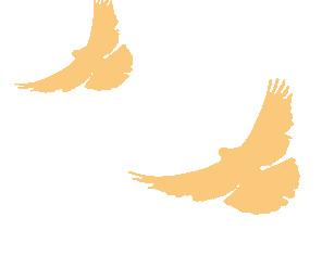 Embedded Services: Strengthening Security Networks through Poppy Inspections