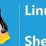 Summary of Shell Programming Knowledge, Including Common Linux Command Usage Tips
