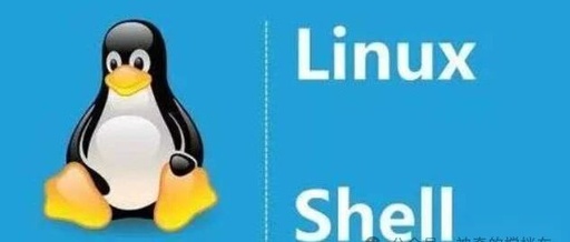 Summary of Shell Programming Knowledge, Including Common Linux Command Usage Tips