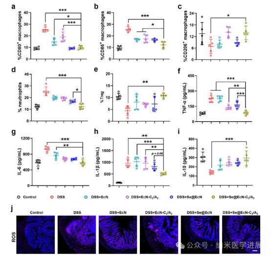 Triple-Functional Probiotics with Intracellularly Synthesized Selenium Nanoparticles for Colitis Therapy by Regulating the Macrophage Phenotype and Modulating Gut Microbiota