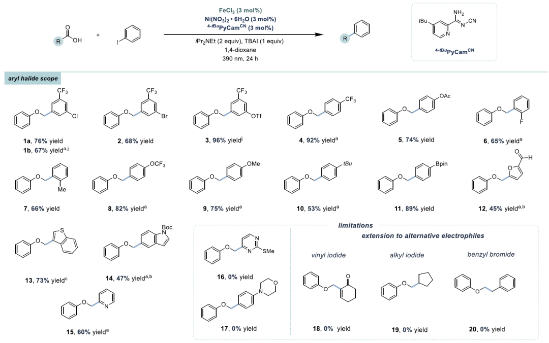 Inexpensive Fe/Ni Enables Decarboxylative Cross-Coupling Reaction!