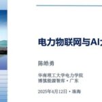 Co-development of Power IoT and AI Large Models