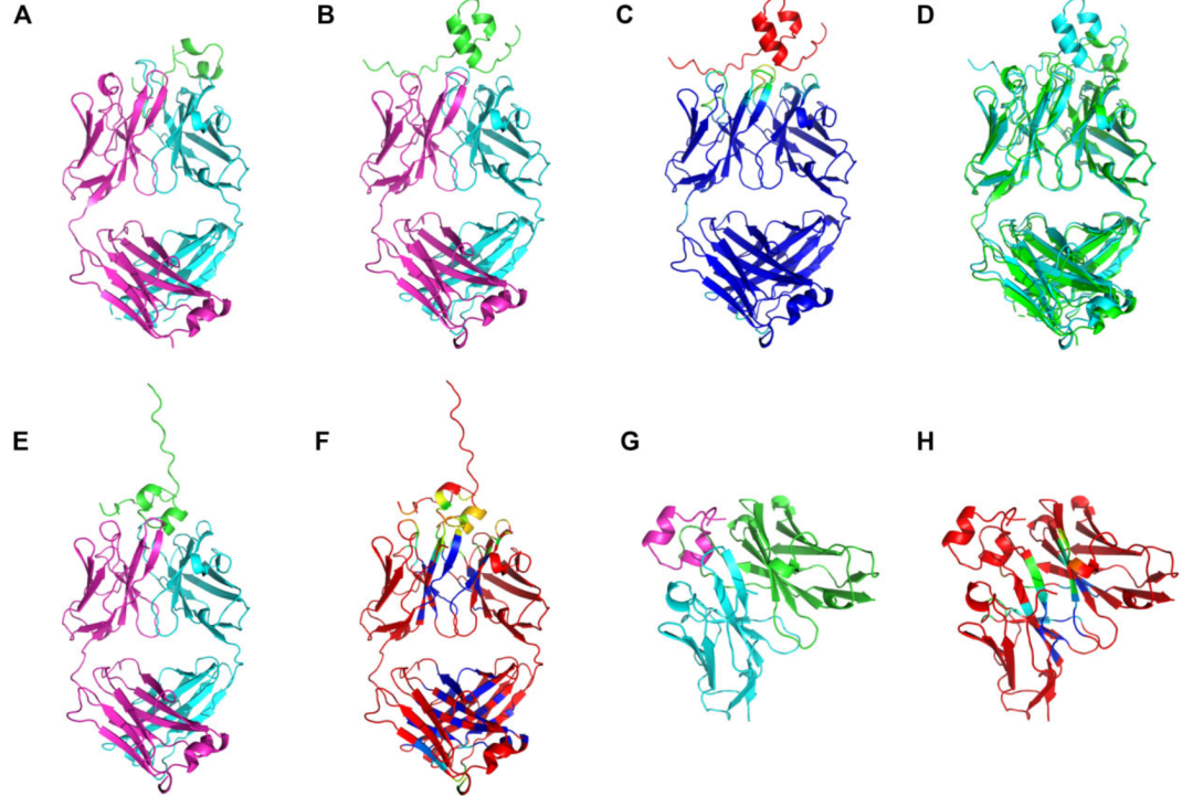 MultiFOLD2 and ModFOLDdock2: New Standards for Protein Complex Structure Prediction and Quality Assessment