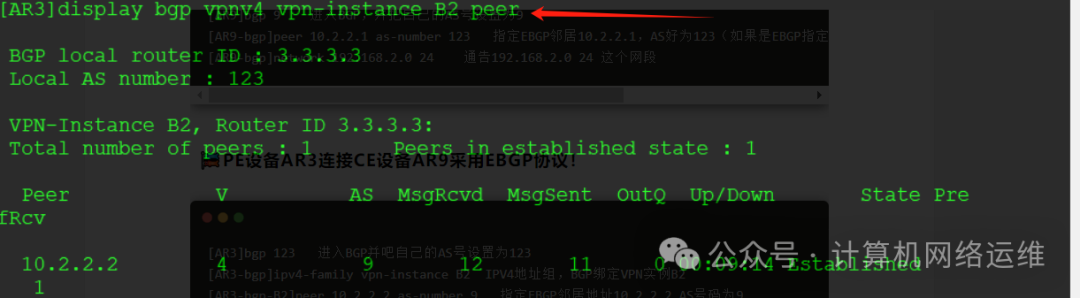MPLS VPN Technology Special 1: Routing Virtualization Technology!