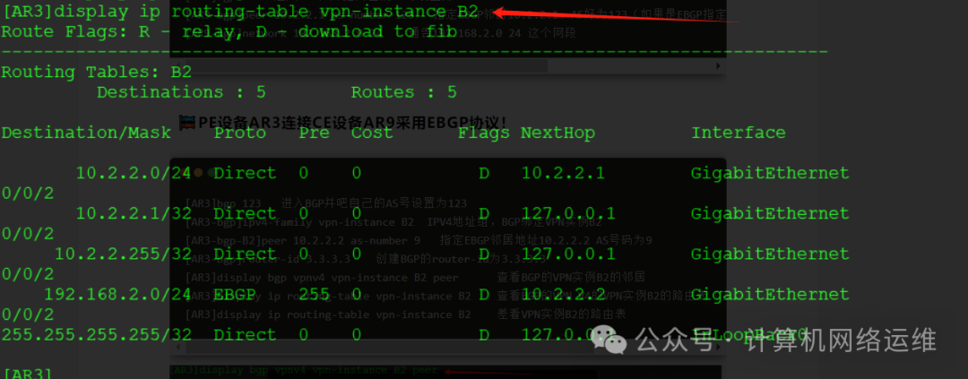 MPLS VPN Technology Special 1: Routing Virtualization Technology!