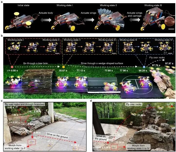 Weekly Review of Cutting-Edge Technology: The Birth of the Smallest and Lightest Wireless Amphibious Robot; The Fastest! The Dawn of Picosecond Flash Memory Devices