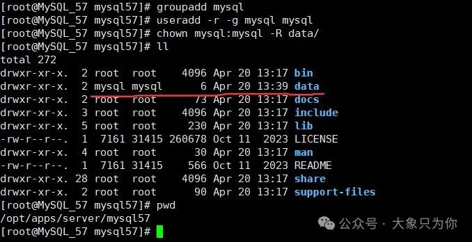 Guide to Installing MySQL 5.7 on Linux Without Docker