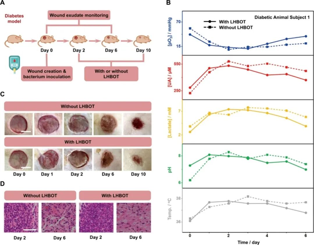 ACS Nano: A Fully Integrated Wearable Biomimetic Microfluidic Wound Tracker for In Situ Dynamic Monitoring of Wound Exudate Oxygen