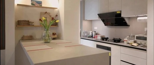 Essential Guide to Home Renovation: From Embedded Appliances to Pet Devices