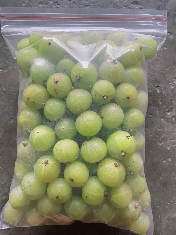 Can This Fruit with Low Sugar and High Vitamin C Help with Weight Loss?