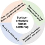 A Review of Surface-Enhanced Raman Spectroscopy (SERS): A Half-Century of Ups and Downs