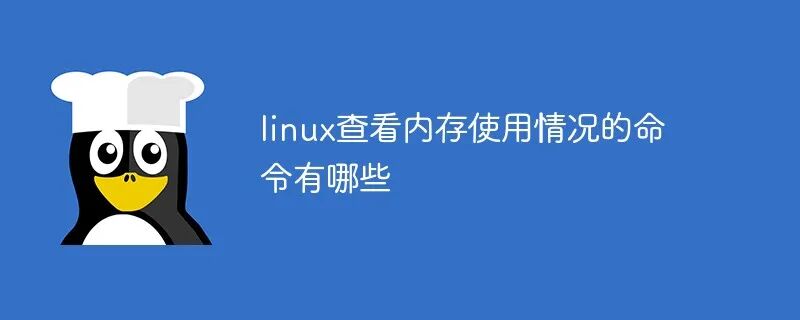 Essential Linux Memory Monitoring Commands Explained