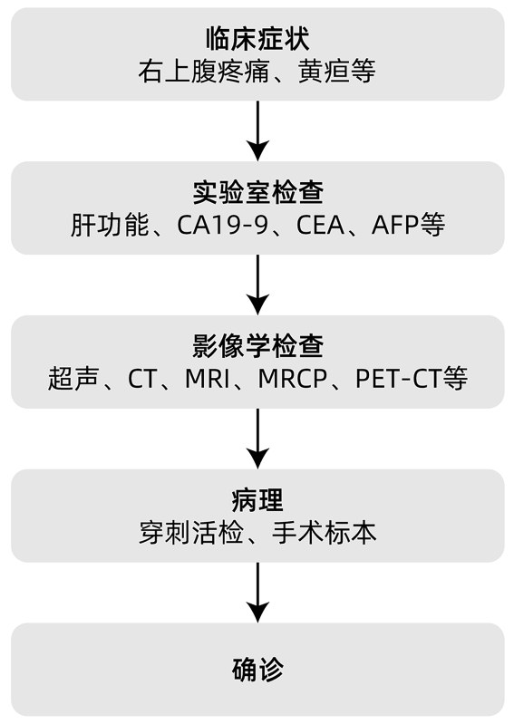 Advances in Diagnosis and Treatment of Intrahepatic Cholangiocarcinoma