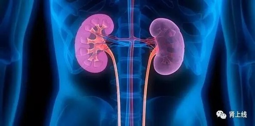 3D Printing a Kidney? Where Are We in the Development of Artificial Kidneys?