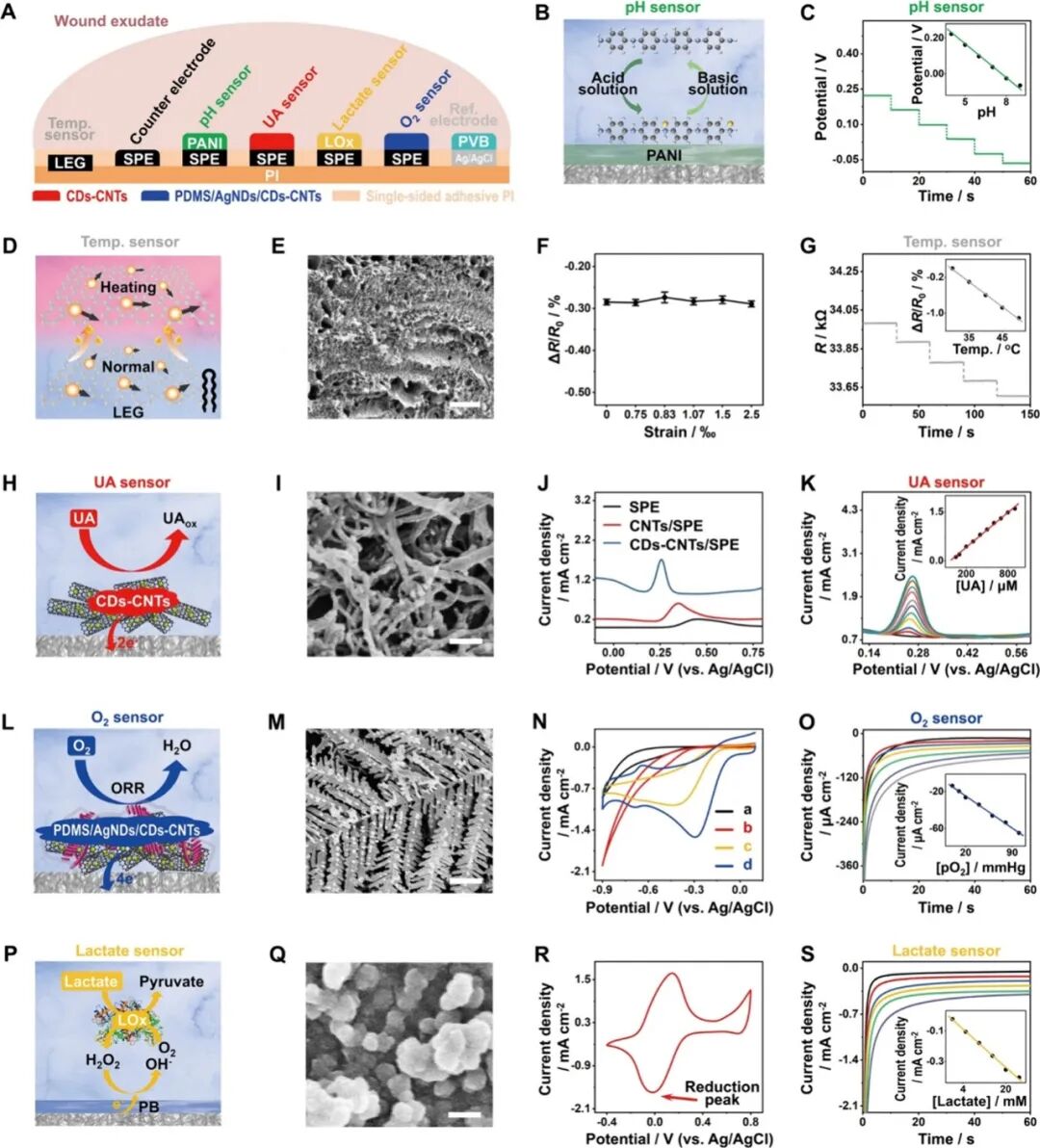 ACS Nano: A Fully Integrated Wearable Biomimetic Microfluidic Wound Tracker for In Situ Dynamic Monitoring of Wound Exudate Oxygen