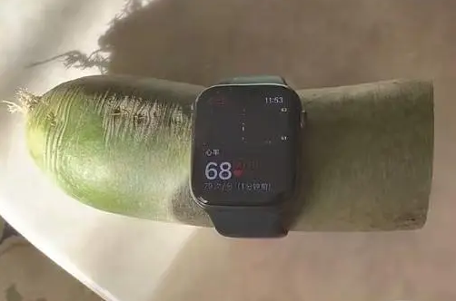 Smartwatch Measures Radish Heart Rate at 68 BPM, Can Sausages Also Show Blood Oxygen Levels? Expert Explains