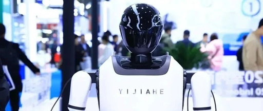 Are You Looking Forward to Elderly Care Robots?